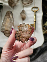 Load image into Gallery viewer, Raw Brazilian Smokey Elestial Quartz