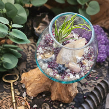 Load image into Gallery viewer, Mystique ~ CrystalAIRium Mystic Terrarium 1/5