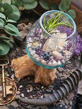 Load image into Gallery viewer, Mystique ~ CrystalAIRium Mystic Terrarium 1/5