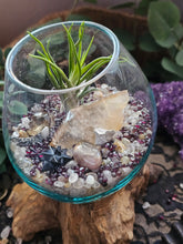 Load image into Gallery viewer, Mystique ~ CrystalAIRium Mystic Terrarium 1/5