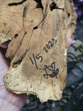 Load image into Gallery viewer, Mystique ~ CrystalAIRium Mystic Terrarium 1/5