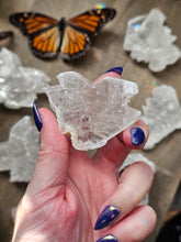 Load image into Gallery viewer, Raw Fishtail Selenite Purification Crystals