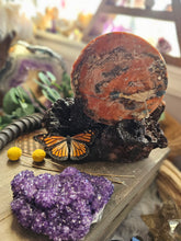 Load image into Gallery viewer, Orange Jasper + Apatite Full Moon on Driftwood