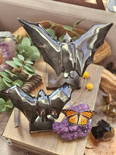 Load image into Gallery viewer, Nocturnal Rainbow Obsidian Bats on a Stand