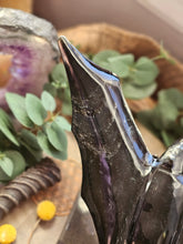 Load image into Gallery viewer, Nocturnal Rainbow Obsidian Bats on a Stand