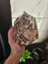 Load image into Gallery viewer, XL Brazilian Lodolite Shamanic Dream Quartz