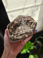 Load image into Gallery viewer, XL Brazilian Lodolite Shamanic Dream Quartz