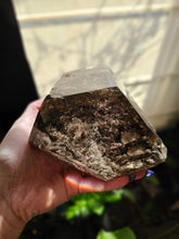 Load image into Gallery viewer, XL Brazilian Lodolite Shamanic Dream Quartz
