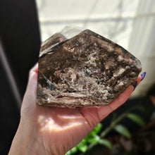 Load image into Gallery viewer, XL Brazilian Lodolite Shamanic Dream Quartz