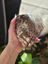 Load image into Gallery viewer, XL Brazilian Lodolite Shamanic Dream Quartz