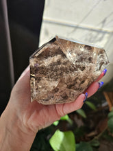 Load image into Gallery viewer, XL Brazilian Lodolite Shamanic Dream Quartz