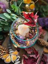 Load image into Gallery viewer, Splendor ~ CrystalAIRium Mystic Terrarium Tabletop Secret Garden