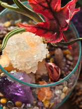 Load image into Gallery viewer, Splendor ~ CrystalAIRium Mystic Terrarium Tabletop Secret Garden