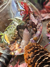 Load image into Gallery viewer, Splendor Mini Series ~ Hanging CrystalAIRium Mystic Terrariums