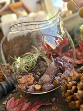 Load image into Gallery viewer, Splendor Mini Series ~ Hanging CrystalAIRium Mystic Terrariums