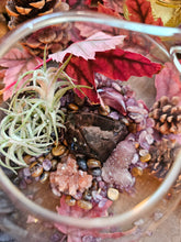 Load image into Gallery viewer, Splendor Mini Series ~ Hanging CrystalAIRium Mystic Terrariums