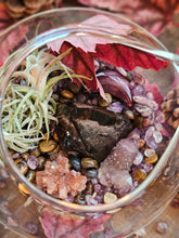 Load image into Gallery viewer, Splendor Mini Series ~ Hanging CrystalAIRium Mystic Terrariums