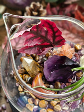 Load image into Gallery viewer, Splendor Mini Series ~ Hanging CrystalAIRium Mystic Terrariums