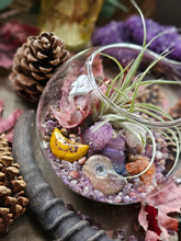Load image into Gallery viewer, Splendor Mini Series ~ Hanging CrystalAIRium Mystic Terrariums