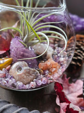 Load image into Gallery viewer, Splendor Mini Series ~ Hanging CrystalAIRium Mystic Terrariums