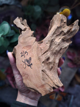 Load image into Gallery viewer, Splendor ~ CrystalAIRium Mystic Terrarium Tabletop Secret Garden