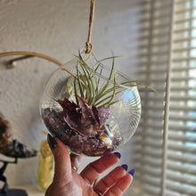 Load image into Gallery viewer, Splendor Mini Series ~ Hanging CrystalAIRium Mystic Terrariums