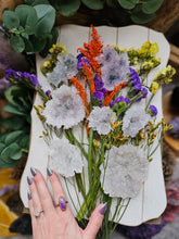 Load image into Gallery viewer, Rare Amethyst Stalactite Crystal Flowers