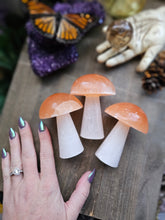 Load image into Gallery viewer, Carved Selenite Mushies