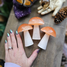 Load image into Gallery viewer, Carved Selenite Mushies