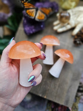 Load image into Gallery viewer, Carved Selenite Mushies