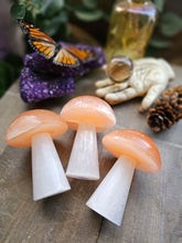 Load image into Gallery viewer, Carved Selenite Mushies