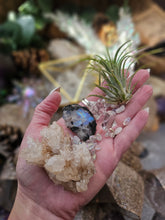 Load image into Gallery viewer, Rainbow Frost Mini Series ~ Hanging CrystalAIRium Mystic Secret Gardens