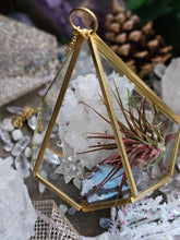 Load image into Gallery viewer, Rainbow Frost Mini Series ~ Hanging CrystalAIRium Mystic Secret Gardens