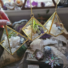 Load image into Gallery viewer, Rainbow Frost Mini Series ~ Hanging CrystalAIRium Mystic Secret Gardens