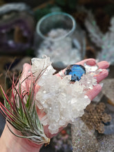 Load image into Gallery viewer, Rainbow Frost ~ CrystalAIRium Mystic Terrarium Tabletop Secret Garden