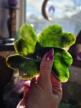 Load image into Gallery viewer, Gua Sha Nephrite Jade Facial Massage Tool