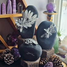 Load image into Gallery viewer, Natural Chrysanthemum Stone Free Form Fossils