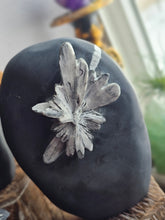 Load image into Gallery viewer, Natural Chrysanthemum Stone Free Form Fossils