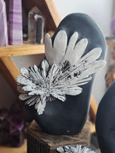 Load image into Gallery viewer, Natural Chrysanthemum Stone Free Form Fossils