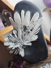 Load image into Gallery viewer, Natural Chrysanthemum Stone Free Form Fossils