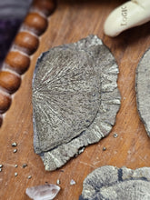 Load image into Gallery viewer, "Dead Stock" Natural Illinois Pyrite Suns Flowers