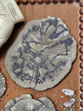 Load image into Gallery viewer, "Dead Stock" Natural Illinois Pyrite Suns Flowers