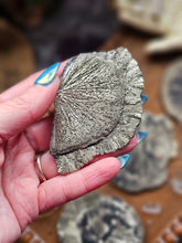 Load image into Gallery viewer, "Dead Stock" Natural Illinois Pyrite Suns Flowers