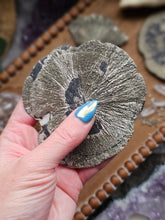 Load image into Gallery viewer, "Dead Stock" Natural Illinois Pyrite Suns Flowers