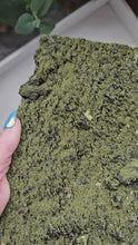 Load and play video in Gallery viewer, Raw Epidote Forest Fairy Quartz Slab Statement Crystal