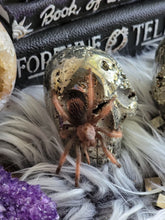 Load image into Gallery viewer, Evil Pyrite Half Raw Crystal Cluster Skulls