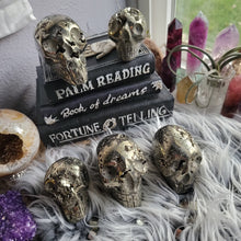 Load image into Gallery viewer, Evil Pyrite Half Raw Crystal Cluster Skulls