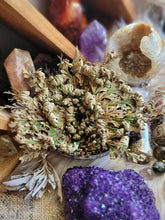 Load image into Gallery viewer, Rose of Jericho Resurrection Plant