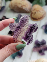 Load image into Gallery viewer, Natural Rainbow Fluorite Crystal Starfish