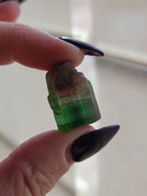 Load image into Gallery viewer, Bicolor Watermelon Tourmaline Specimen